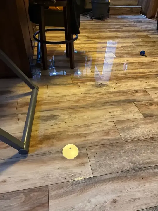 Standing water across a wood-look floor after a leak